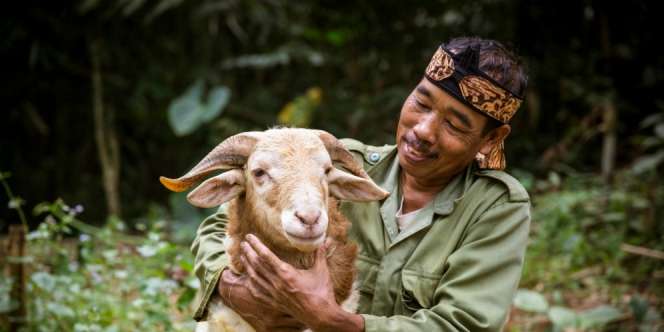 30 Hewan Kurban Demi Berkah Idul Adha untuk Peternak