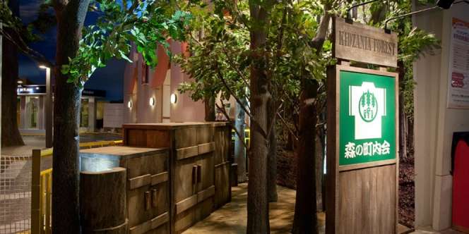 Ajak Si Kecil Mengenal Tanaman Herbal di 'Hutan Hujan Tropis'