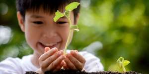 Ajak Anak Berkebun, Bisa Stimulasi Perkembangannya