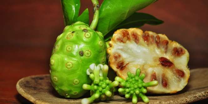 8 Manfaat Buah Mengkudu, Sudah Tahu?