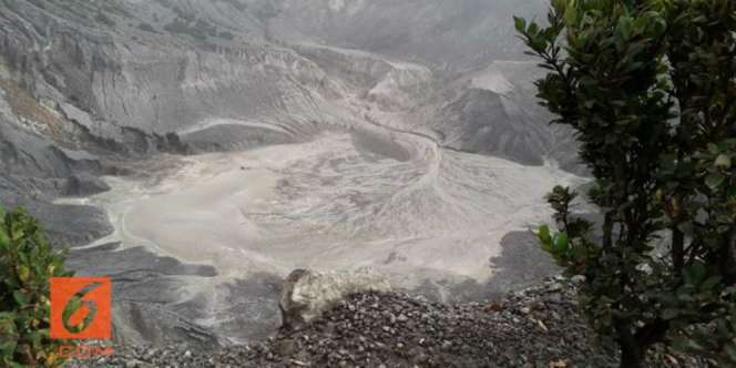 PVMBG: Erupsi Gunung Tangkuban Parahu Bisa Terjadi Kapan Saja