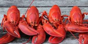 Ini Penjelasan Ilmiah Lobster Berubah Merah Terang Setelah Dimasak