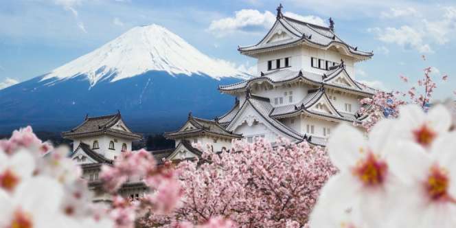 Ikuti #HalalDreamTrip2019 ke Jepang, Gratis!