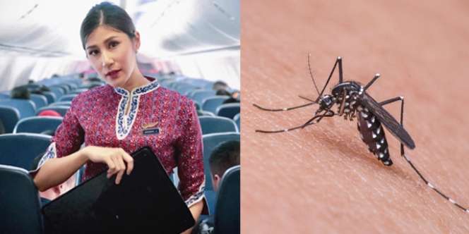 Hanya Satu Gigitan Nyamuk, Pramugari Cantik Ini Meninggal 3 Hari Kemudian