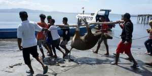 5 Fakta Jangan Takut Berkurban Melalui Dompet Dhuafa