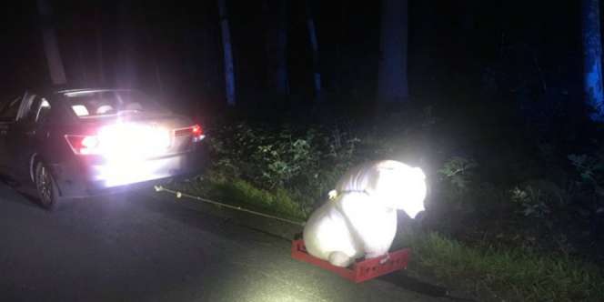 Pantas Saja `Disemprit` Polisi, Lihat Cara Sopir Ini Bawa Boneka Beruang