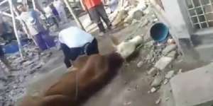 Tiba-Tiba Tersungkur di Leher Sapi, Jagal Kurban di Cimahi Meninggal Dunia