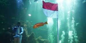 Aaliyah Massaid Kibarkan Bendera Merah Putih di Bawah Laut