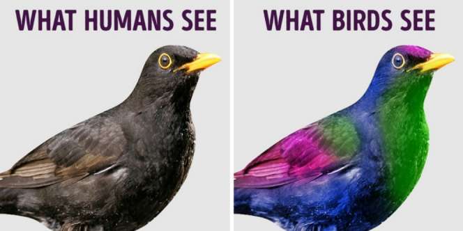 Siap-Siap, 12 Fakta Berikut Ini Bakal Buatmu Lompat dari Kursi