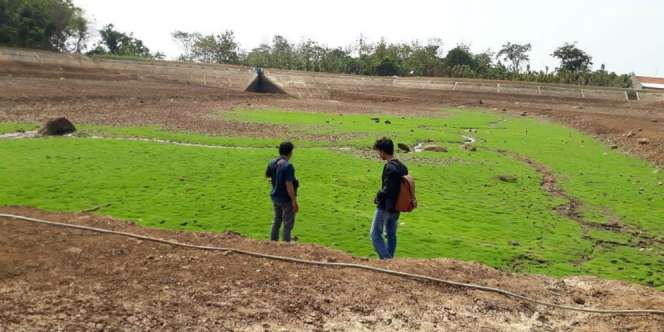 Peringatan Dini BMKG: Jakarta dan Banten Kekeringan Parah