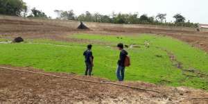 Ini Penyebab Ancaman Kekeringan di Sejumlah Wilayah
