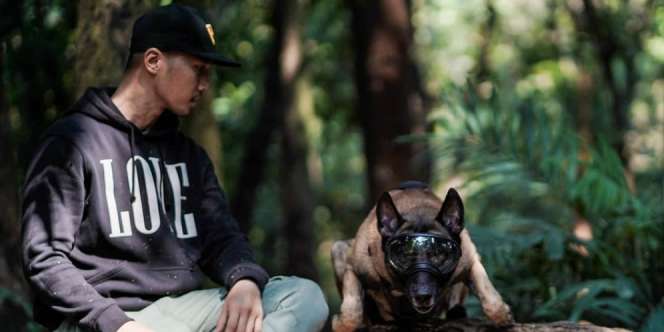 Keganasan Anjing Malinois Milik Presenter Bima Aryo