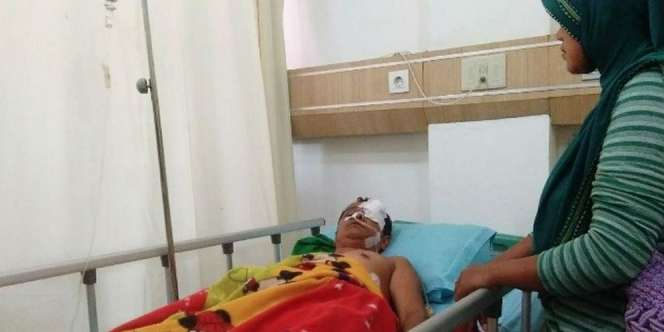 Menegangkan, Pencari Ikan di Riau Duel Sengit dengan Beruang