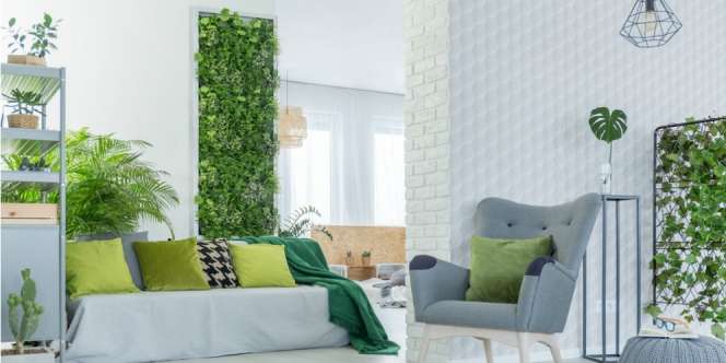 7 Cara Membuat Rumah Sehat, Terapkan Hal Ini
