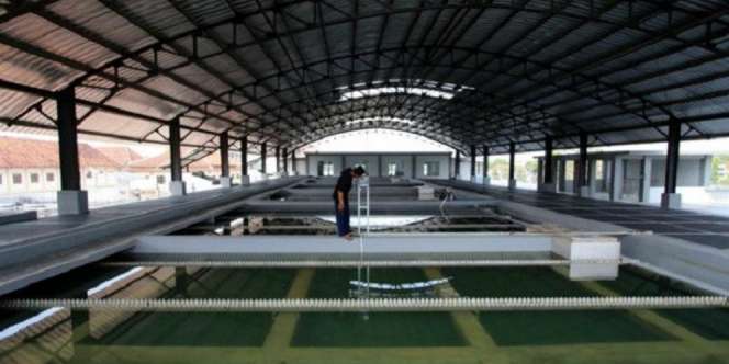 Air PDAM Solo Tercemar Limbah Ciu