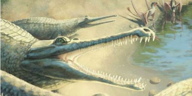 Fosil Ditemukan 250 Tahun Silam, `Nenek Moyang` Buaya Terungkap