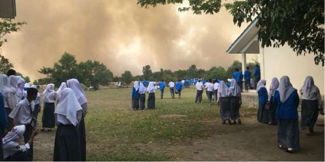 288 Orang dan 5 Perusahaan Jadi Tersangka Pembakaran Hutan