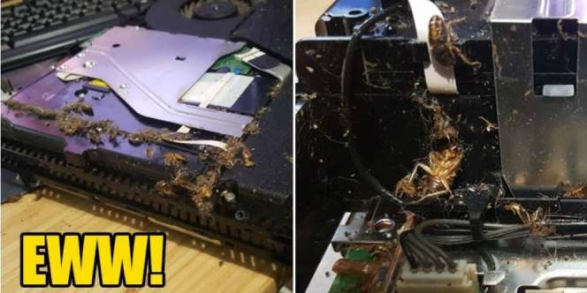 Bersihkan PS4, Saat Dibuka Isinya Bikin Merinding