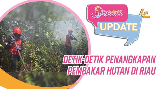 Detik-detik Penangkapan Tiga Pembakar Hutan
