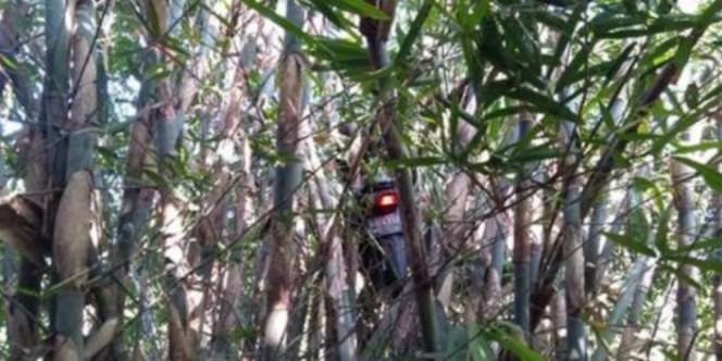 6 Foto Kendaraan Nyangkut, Tempatnya Enggak Biasa Lho