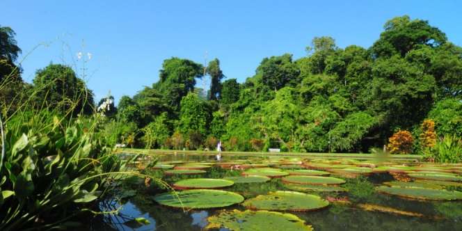 Tak Harus Jauh, Ada Tempat Liburan Seru di Sekitar Jakarta