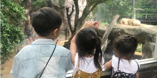 Ayah Bunda, Lakukan Ini Agar Si Kakak Tak Merasa 'Nomor Dua'