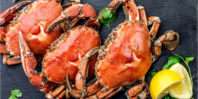 5 Cara Memasak Kepiting dengan Berbagai Saus yang Lezat