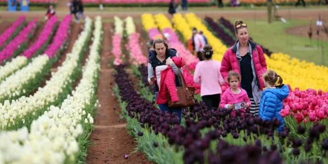Pesona Melbourne yang Nyaman dan Ramah Muslim