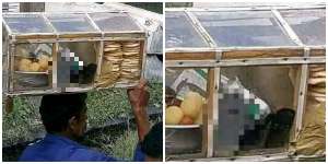 Foto Penjual Gorengan Ini Bikin Salfok, Lihat Smartphonenya...