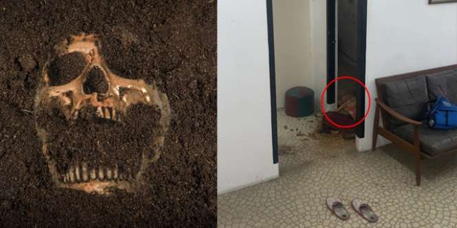 Geger! Ditemukan Kerangka Wanita Memeluk Bantal