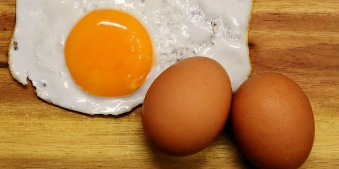 Fakta Seputar Telur, Kelebihan, dan Kekurangannya untuk Kesehatan 