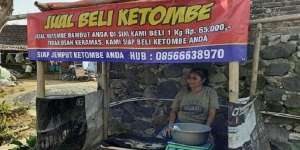 Viral Warung Jual Beli Ketombe, Ini Fakta Sebenarnya