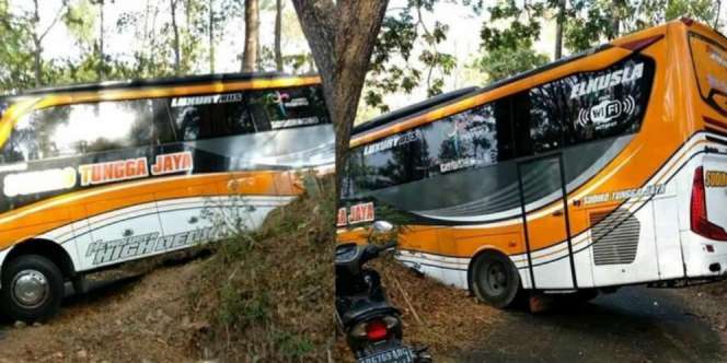 Heboh Bus Tersesat di Hutan Belantara Gunung Tunggangan