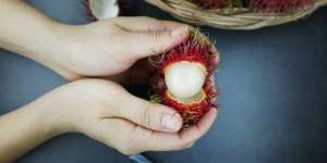 6 Manfaat Konsumsi Rambutan untuk Ibu Hamil