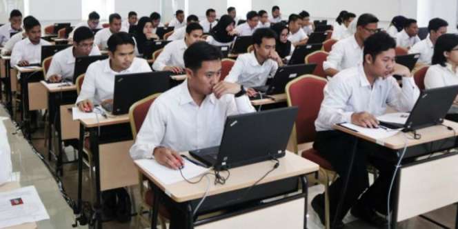 Pendaftaran CPNS 2019 Dibuka 11 November, Ini Syarat dan Dokumen yang Dibutuhkan