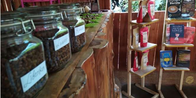 Daya Tarik Kopi Kelud dari Lereng Gunung