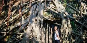 Tersihir Rumah Pohon Anping