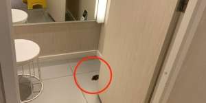Tercium Bau Busuk di Ruang Ganti, Astaga Rupanya...