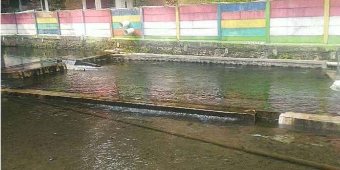 Sensasi Kesegaran Berendam di Mata Air Cipondok