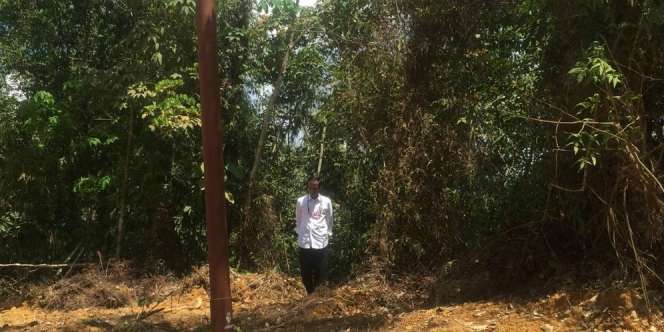 Blusukan ke Lokasi Ibu Kota Baru, Jokowi Tentukan Titik Istana