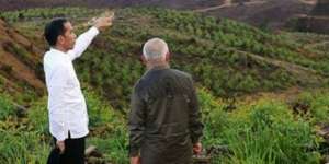 Bukit Ini Jadi Lokasi Istana Presiden di Ibu Kota Baru