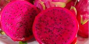 14 Manfaat Kulit Buah Naga Merah untuk Ibu Hamil
