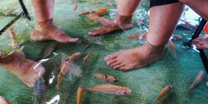 Sensasi Makan Soto Sembari Refleksi Ikan