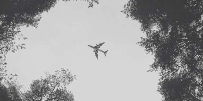 Video Detik-Detik Pesawat Ukraina Terbakar dan Jatuh Meledak di Iran