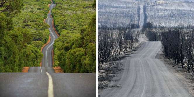 Foto Sebelum dan Sesudah Kebakaran Hutan Australia, Mengerikan!