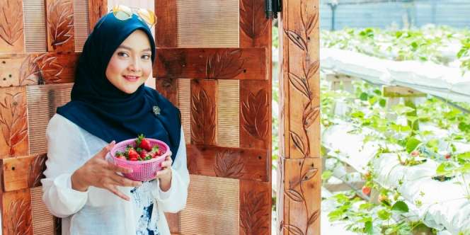 Stroberi Bisa Bikin Langsing, Jadikan Menu Diet Yuk!