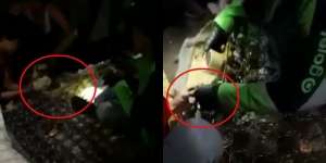 Ada Benjolan & Suara Mendesis di Kasur, Saat Dibuka Warga Tangsel Langsung Geger