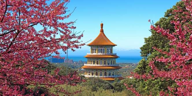 Berburu Atraksi Wisata Terbaik bagi Muslim Traveler di Saudara Kembar Taipei