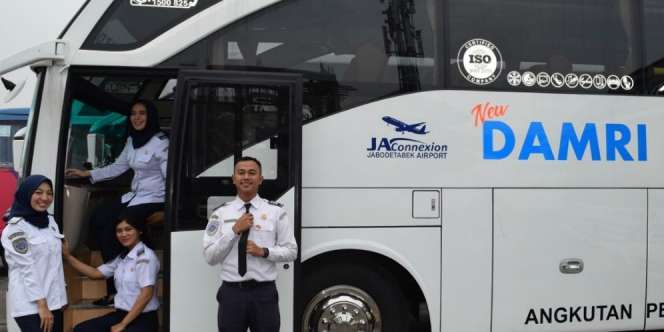 Damri Buka Lowongan Bidang IT, Ada 6 Posisi yang Dibuka