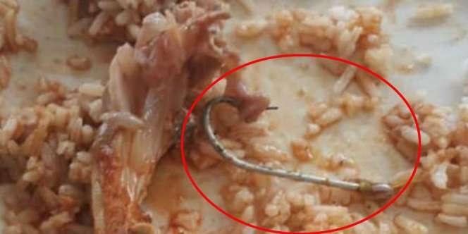 Pelanggan Restoran Temukan Pancing dalam Ikan, Nyaris Tertelan